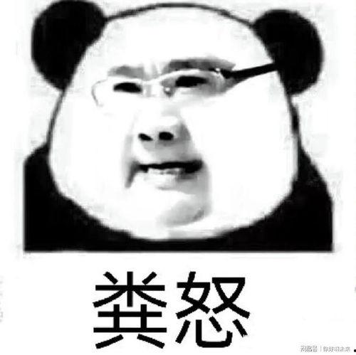 怒撕表情包